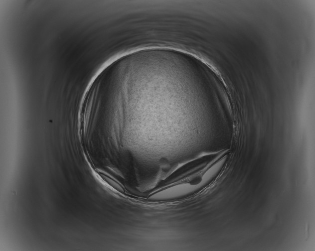 X0000086291535200704131536