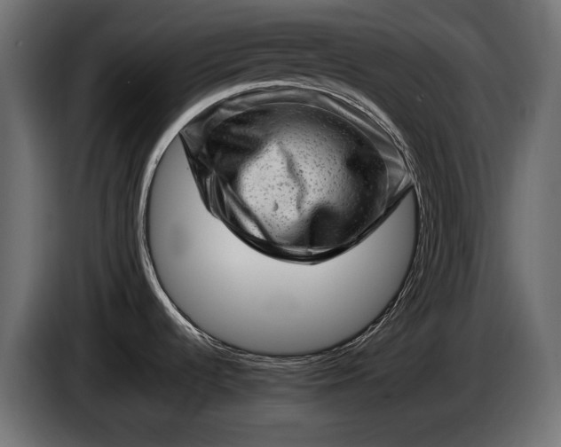 X0000086291536200704131536