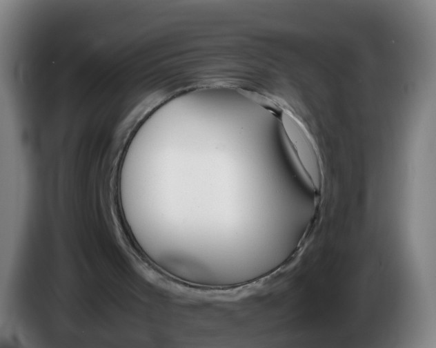 X0000086290001200704201932