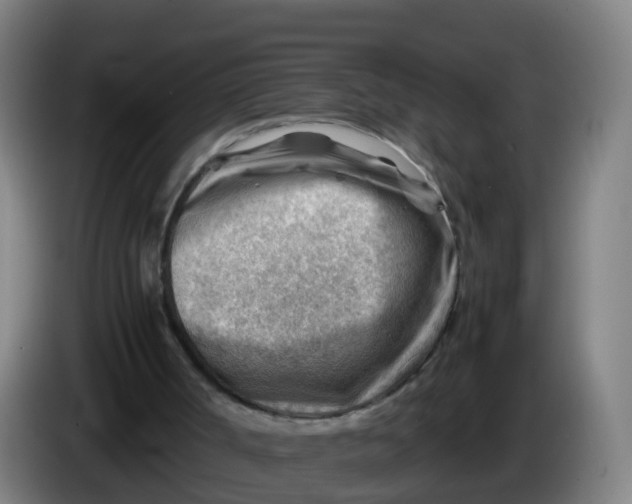 X0000086290002200704201932