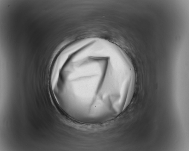 X0000086290003200704201932