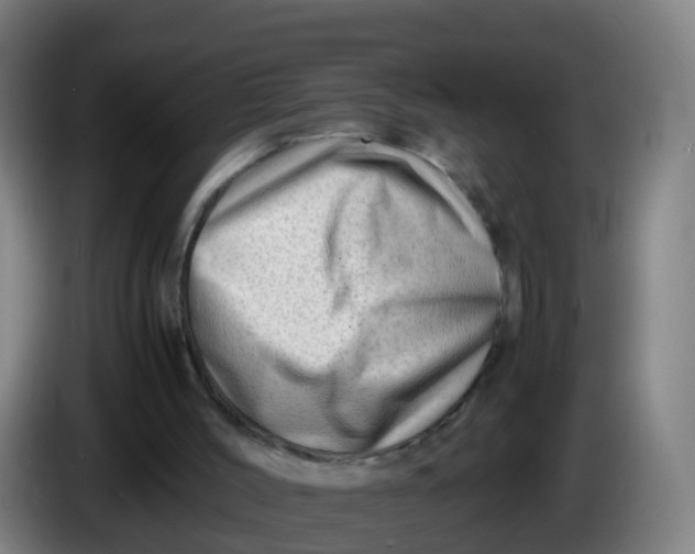 X0000086290004200704201932