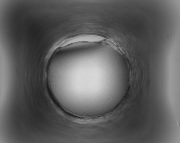 X0000086290005200704201932