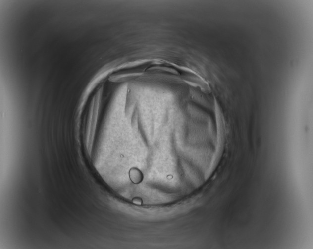 X0000086290006200704201932