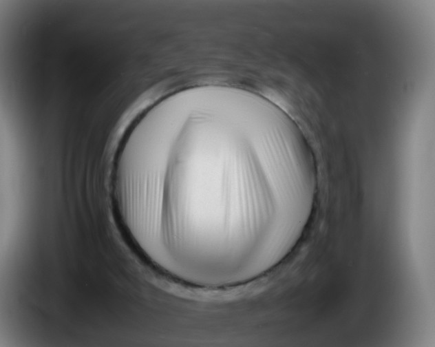 X0000086290007200704201932