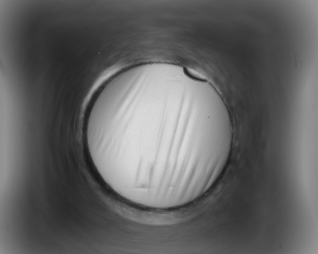 X0000086290008200704201932