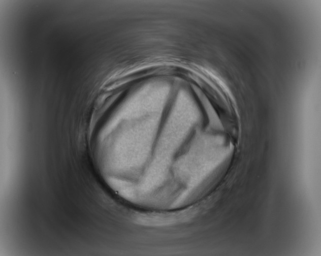 X0000086290009200704201932