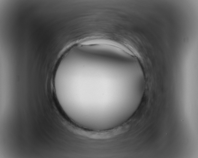 X0000086290011200704201932