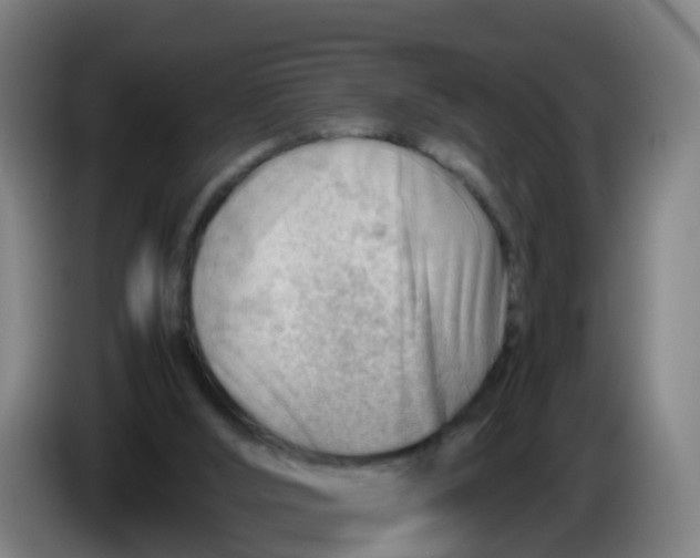 X0000086290012200704201932