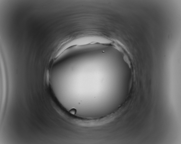 X0000086290013200704201932