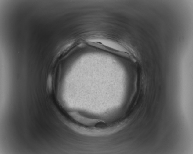 X0000086290014200704201932