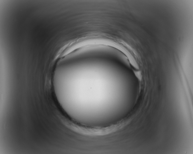 X0000086290015200704201932