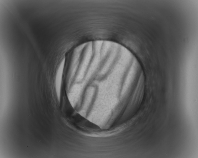 X0000086290017200704201932