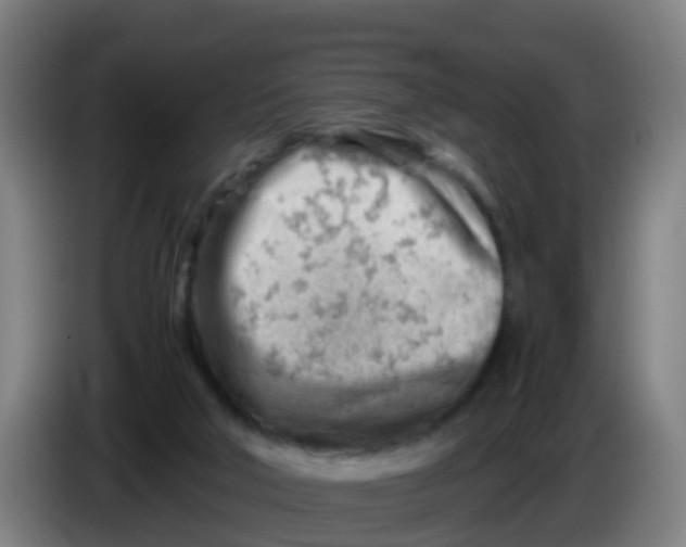 X0000086290018200704201932