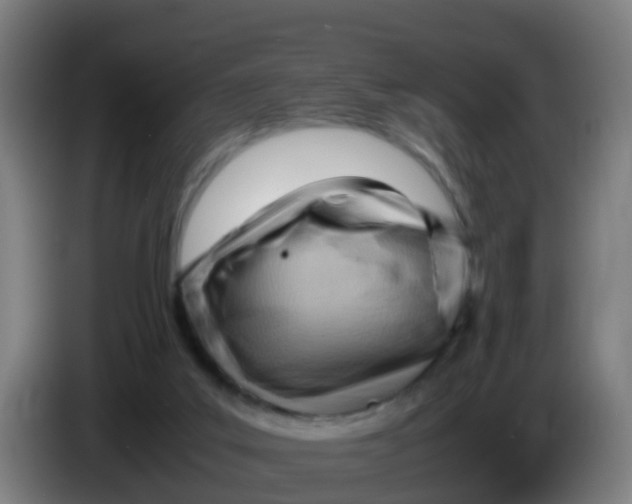 X0000086290019200704201932