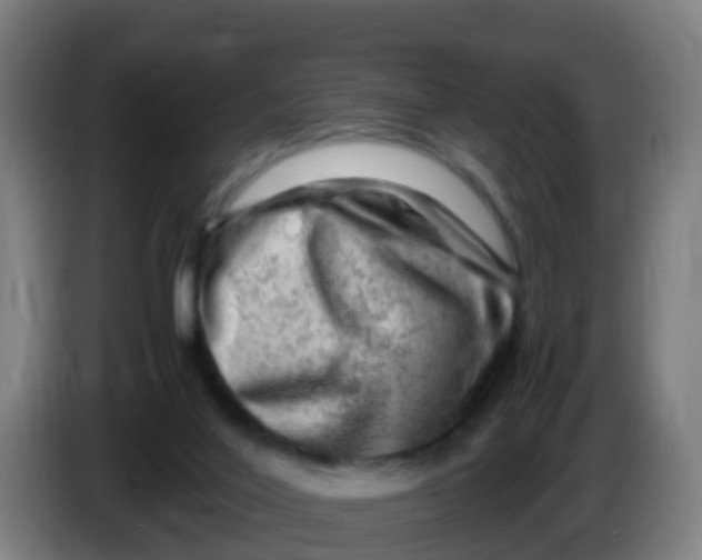 X0000086290020200704201932