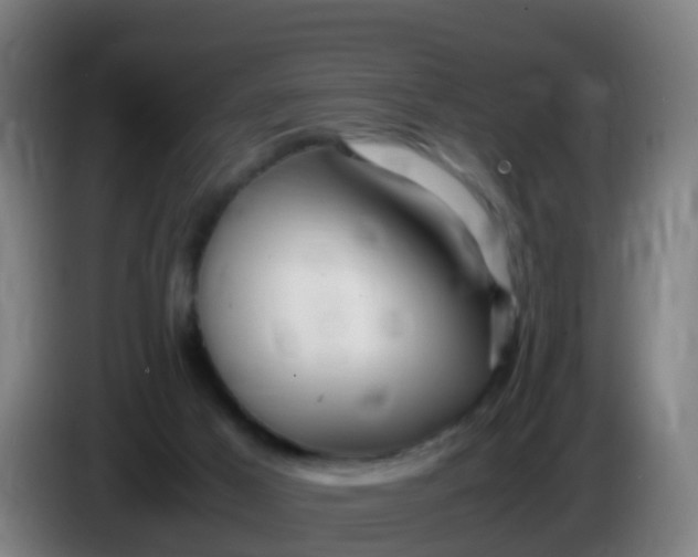 X0000086290021200704201932