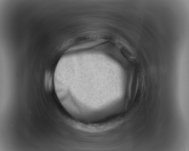 X0000086290022200704201932