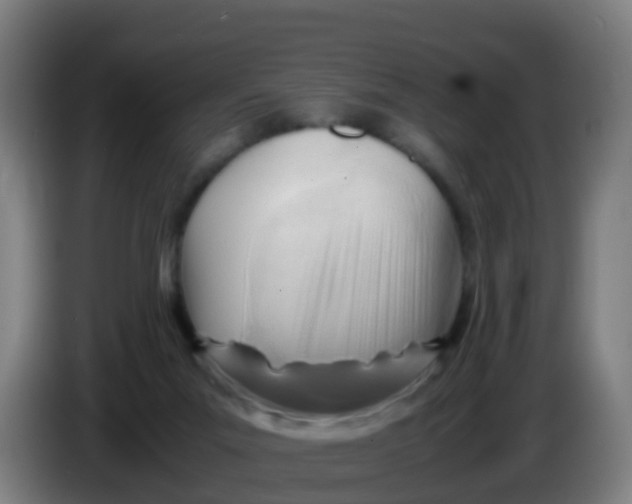 X0000086290023200704201932