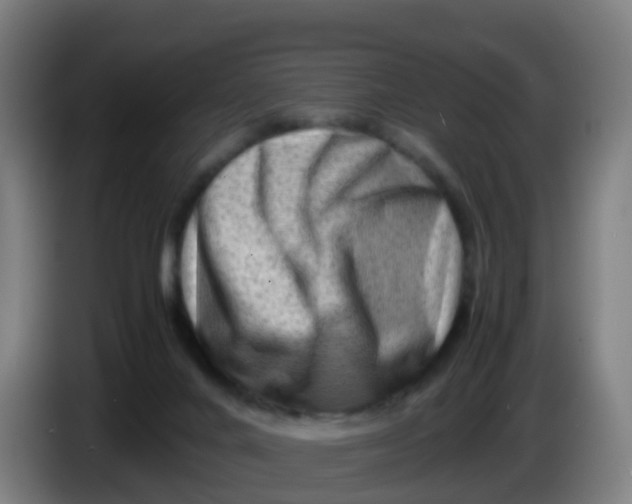 X0000086290024200704201932