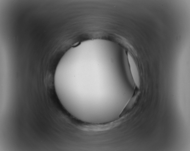 X0000086290025200704201932