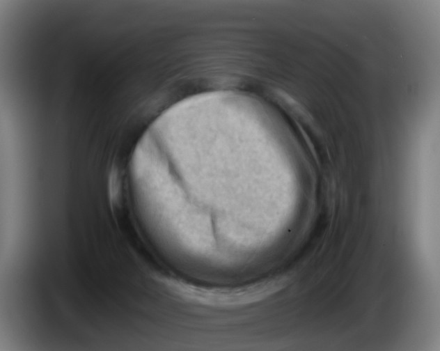 X0000086290026200704201932