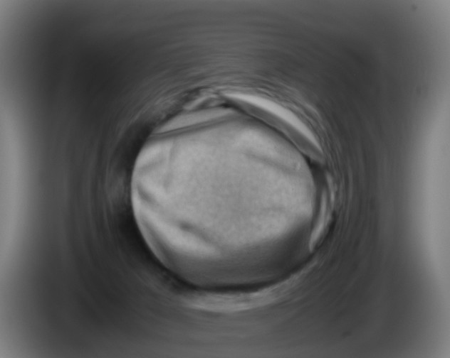 X0000086290029200704201932