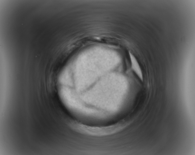 X0000086290030200704201932