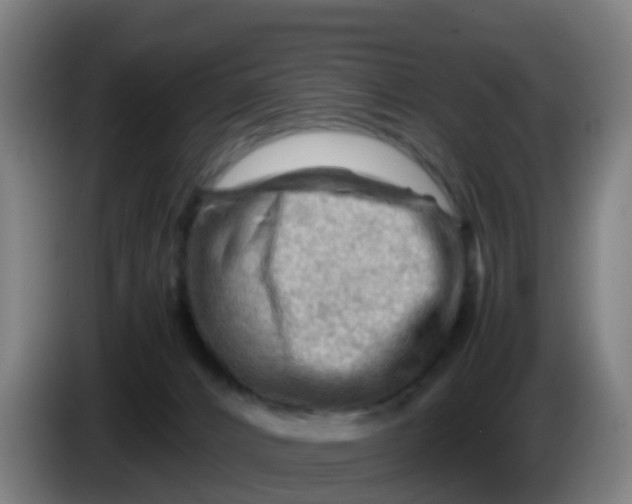 X0000086290032200704201931