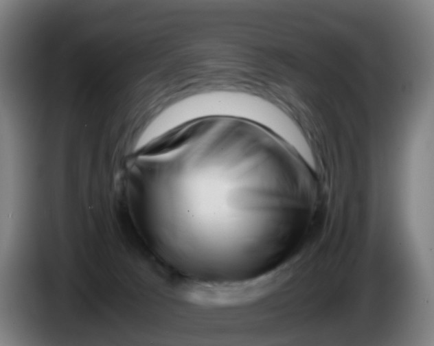 X0000086290033200704201931