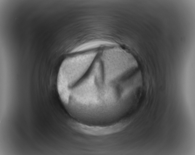 X0000086290034200704201931