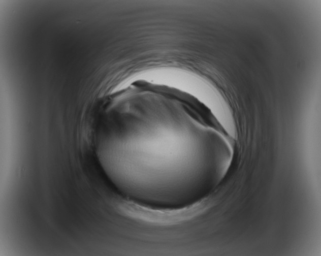 X0000086290035200704201931