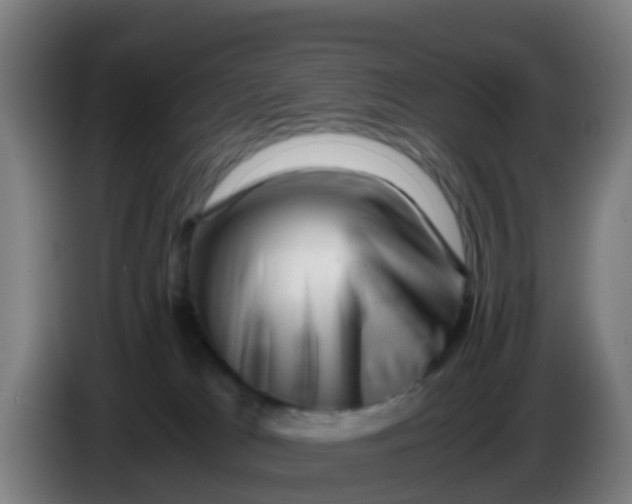 X0000086290037200704201931