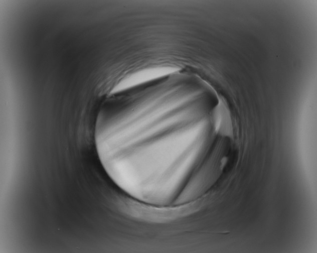 X0000086290039200704201931