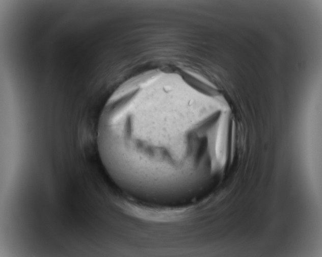 X0000086290040200704201931