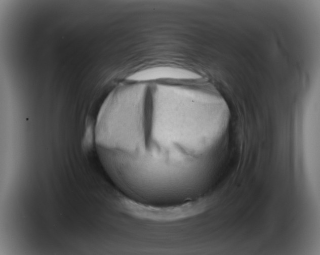 X0000086290042200704201931