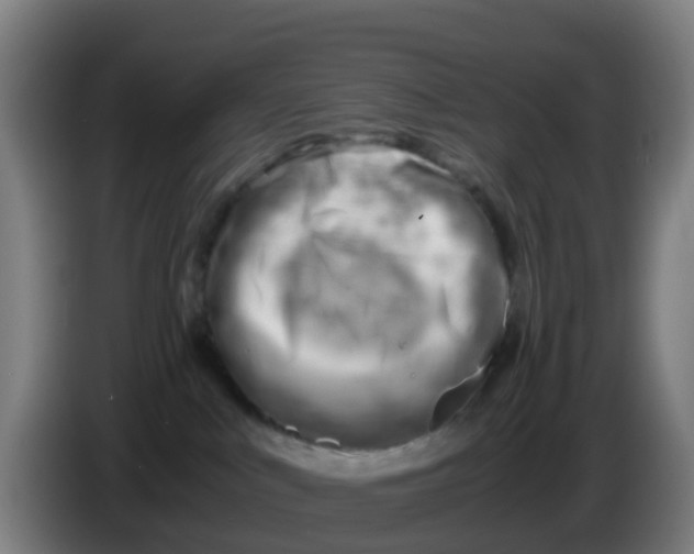 X0000086290043200704201931