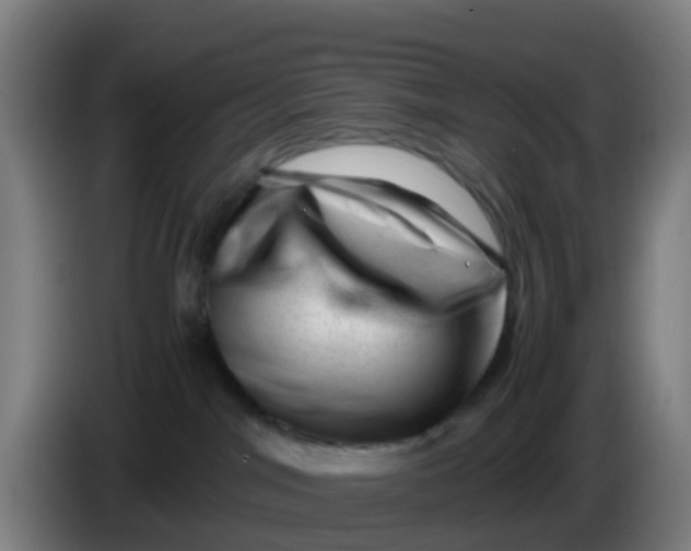 X0000086290044200704201931