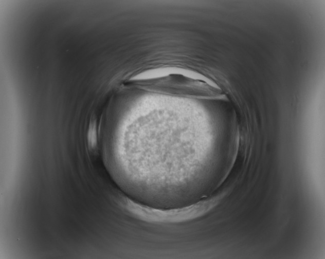 X0000086290046200704201931