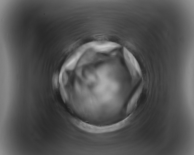 X0000086290047200704201931