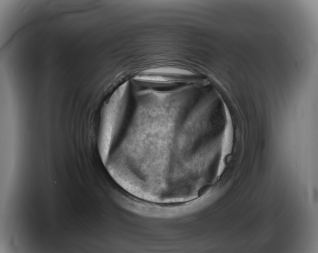 X0000086290048200704201931