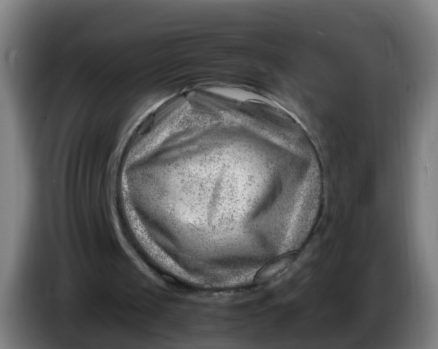 X0000086290049200704201931