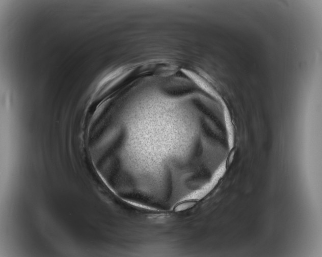 X0000086290050200704201931