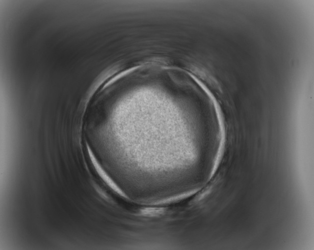 X0000086290051200704201931