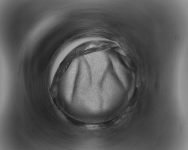 X0000086290052200704201931