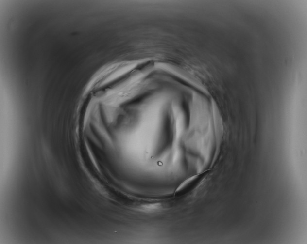 X0000086290054200704201931