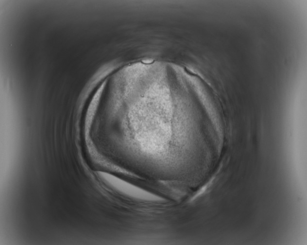 X0000086290055200704201931