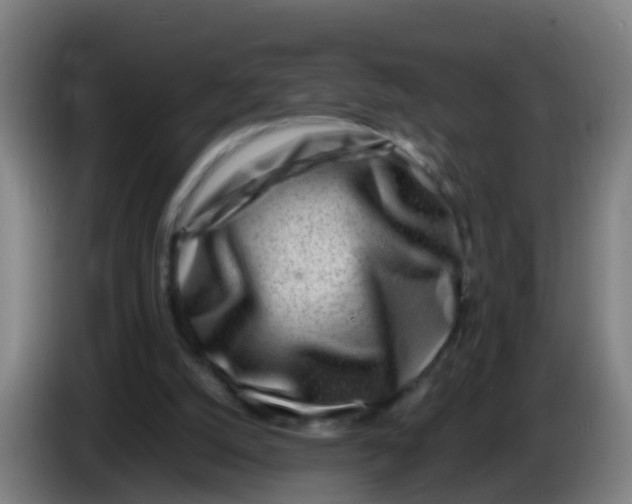 X0000086290056200704201931