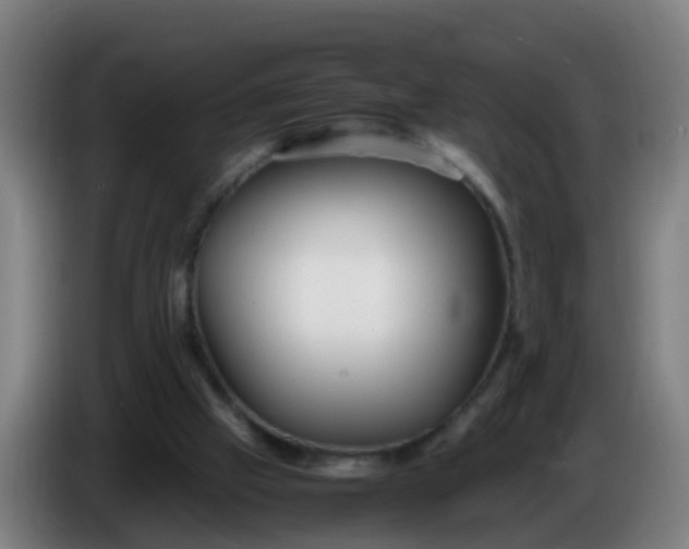 X0000086290057200704201931