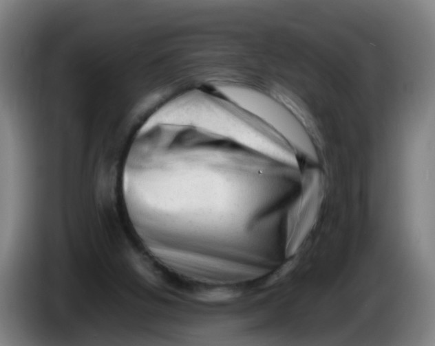 X0000086290058200704201931